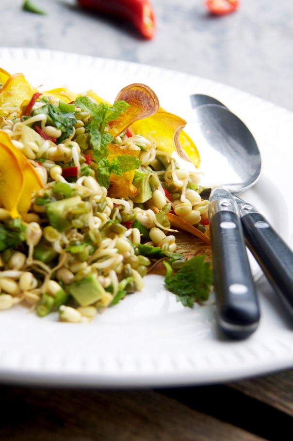 Magical mung bean sprouts + zucchini coconut chips at Earthsprout.com