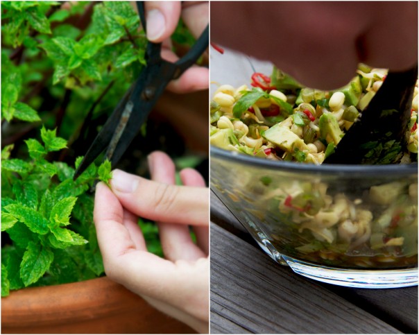 Magical mung bean sprouts + zucchini coconut chips at Earthsprout.com